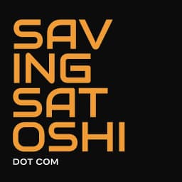 Saving Satoshi